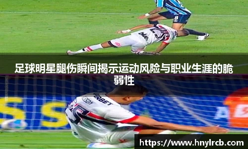 星空·综合体育官方网站